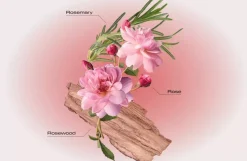 By Far Daydream Of A Rose Garden Set